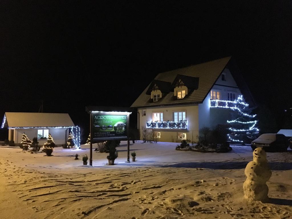 Agroturystyka Lesny Zakatek Stryszawa Exterior photo